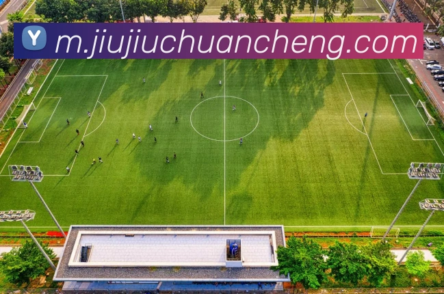 乐竟体育平台生态图